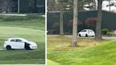 A car traverses a golf course, a snake gets into a house, and a chicken is rescued - The Boston Globe