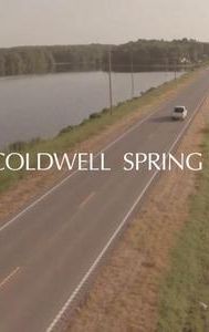 Coldwell Spring