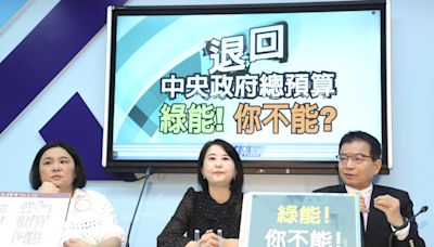 影／退回總預算案遭抹黑？王鴻薇：只有賴清德當立委時可以退嗎？