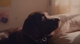 Watch the Super Bowl Commercial Guaranteed to Make You Cry