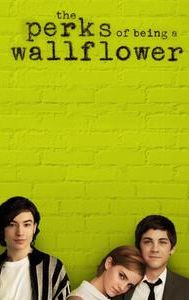 The Perks of Being a Wallflower (film)