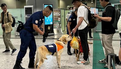 非法進口受規管食物案回復疫前水平 海關五一黃金周加強巡查