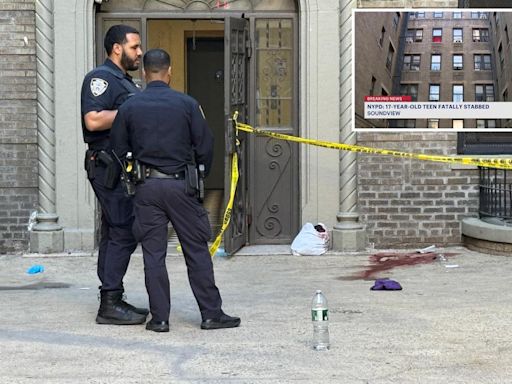 17-year-old girl stabbed to death outside NYC apartment building in broad daylight: cops