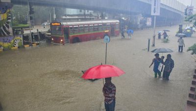 IMD predicts rain, thunderstorms in Maharashtra; holiday for schools in parts of Vidarbha and Raigad