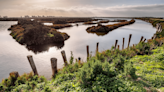 Vive una experiencia completa en plena naturaleza: Zona infantil, miradores, río y playa, a sólo un paso de Jerez