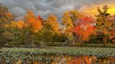 Great places to see fall foliage in Bucks County as we approach peak color