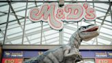 'The Velociraptor is so striking': Theme park to offer daily dinosaur show