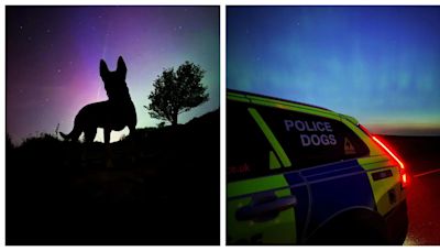 英國警犬巡邏遇最美極光 拍照時更意外抓到通緝犯 網民：神蹟