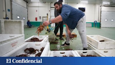 Gobierno y Xunta abren la guerra del marisco: Galicia pide zona catastrófica y el Ministerio la rechaza