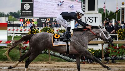 Seize the Grey wins the Preakness Stakes, ruining Mystik Dan’s Triple Crown odds