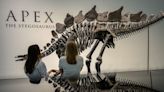 You Could Have Owned the Largest Stegosaurus Fossil Ever Found If You Had a Spare $44.6 Million