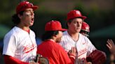 Daily News high school baseball final Top 10