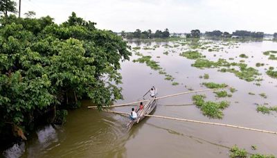 India floods swamp Kaziranga National Park, killing six rhinos