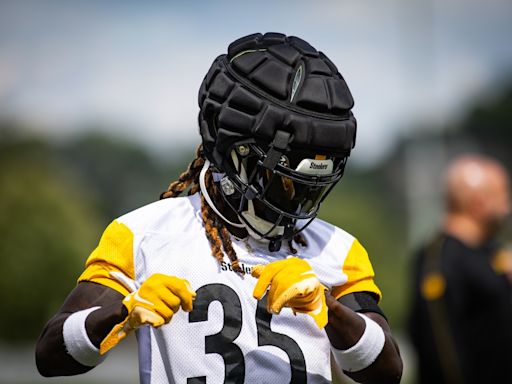 Pittsburgh Steelers dealt blow with two more injuries at training camp