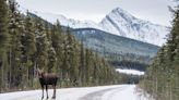 Plan a Spring Escape to Jasper – The Largest National Park in the Canadian Rockies