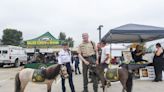 Community attends annual Malibu/Lost Hills Sheriff's Station Open House • The Malibu Times