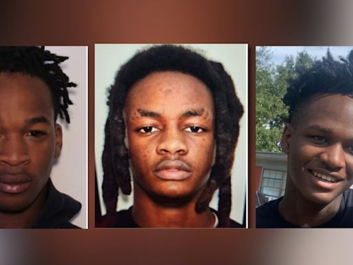 3 ‘armed and dangerous’ teen murder suspects on the run after 15-year-old killed in south GA park
