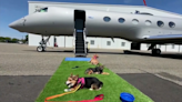 BARK launches first airline tailored for dogs - WSVN 7News | Miami News, Weather, Sports | Fort Lauderdale