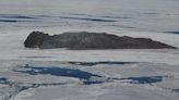 Quebec brothers seek right buyer for dad's 'treasure island' off the Magdalen Islands