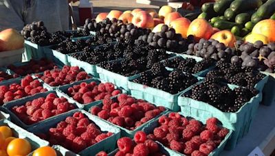 Lexington Farmers Market launches new era with weekday location. Here are the details