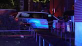 3 killed after brawl in Plateau-Mont-Royal