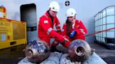 World's oldest deep sea shipwreck discovered off Israel's coast