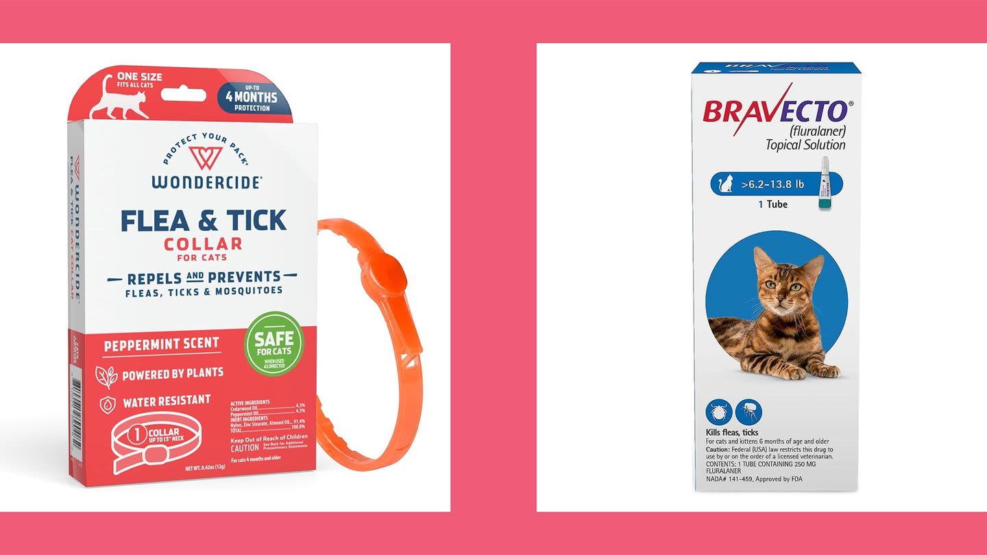 10 Vet-Approved Flea Treatments for Your Cat That Actually Work