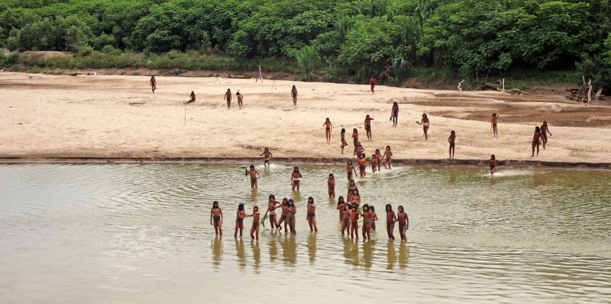 Rare Video Shows Isolated Indigenous Tribe Emerging From Amazon Amid Nearby Logging