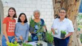 ¿Te gustaría tener mariposas y colibríes en tu jardín? Invitan a adoptar plantas polinizadoras