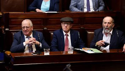 Michael Healy-Rae denounces ‘derogatory, political’ abuse of late mother online