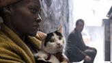 El gato de Lupita Nyong'o en ‘Un Lugar en Silencio: Día Uno’ que se ha robado el corazón del público