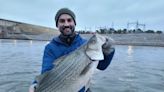 'Just chasing fish and beer': Why Oklahoma brewer organized statewide fly fishing tournament