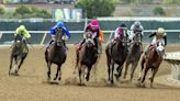 Gene that helps race horses manage BP could help human athletes, too