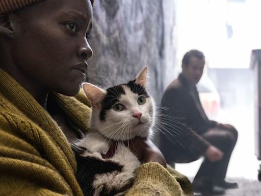 El gato de Lupita Nyong'o en ‘Un Lugar en Silencio: Día Uno’ que se ha robado el corazón del público