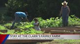 ‘This is my passion’: Hawkins family farm opens Airbnb to earn extra income