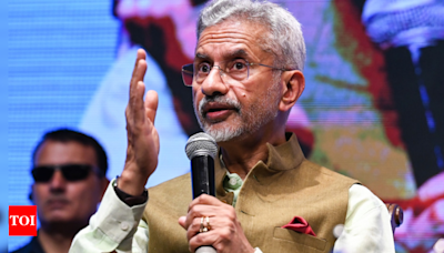 'Don't think you are safe': Jaishankar says Indian strikes in Pakistan were 'direct message' | India News - Times of India