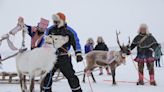 The Sami people bring on spring – with reindeer and sleighs