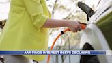 AAA sees interest in EVs declining