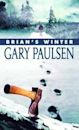 Brian's Winter (Brian's Saga, #3)