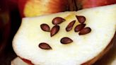 Alerta roja: las frutas que podrían ser letales si comes sus semillas
