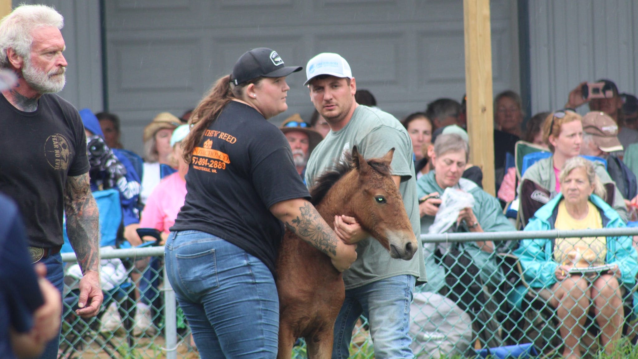 Chincoteague Pony Auction 2024 sets two huge new records. Find out all about it.