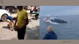 Locals rushing to grab liquor bottles in Agra, whale’s blow capsizing boat and more: A look at top 5 viral videos today