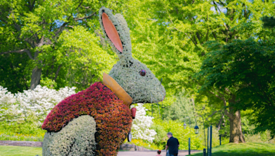 ‘Alice in Wonderland’-themed exhibit to open at New York Botanical Garden
