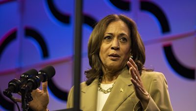 Harris Electrifies Wisconsin Voters, Labels Election As Battle Between Freedom And Chaos