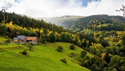 France's centuries-old mountain farm stays