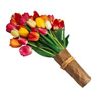 A charming and graceful arrangement highlighting the simplicity and beauty of tulips. With a variety of colors available, tulip bouquets bring a fresh and lively feel, making them an ideal choice for expressing joy, gratitude, or sending warm wishes.