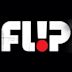 Flip Skateboards