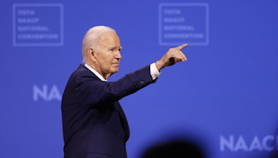 Los demócratas retrasan hasta principios de agosto la ratificación de Biden como candidato