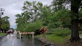 Storm damage found in El Dorado, Submerged vegetation is taking over Calion Lake