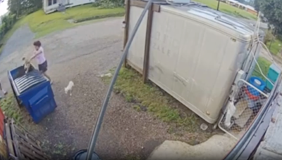 Two people are arrested after horror video shows woman throwing puppies in dumpster